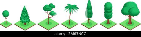 Isometrische grüne Bäume 3D zur Dekoration. Vektordarstellung der isometrischen Gartenwaldgestaltung, Laub des Frühjahrswachstums für Wild Stock Vektor