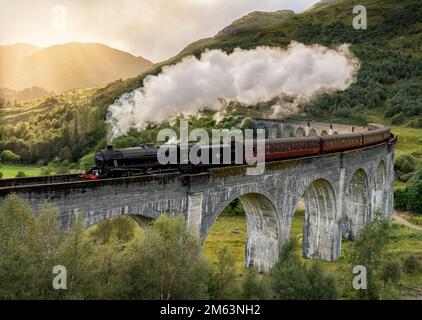 Scottish Highlands Steam Train überquert das Glenfinnan Viadukt in den Scottish Highlands, berühmt durch den Harry Potter-Film Jacobite Steam Train Stockfoto