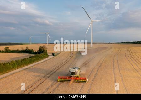 Mähdrescher arbeitet auf einem Feld, erntet während der landwirtschaftlichen Saison und demonstriert moderne mechanisierte Landwirtschaft. Stockfoto