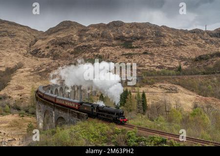 Glenfinnan Railway Viadukt mit einer Dampfeisenbahn, die die berühmte Brücke im schottischen Hochland überquert, die von Harry Potter und dem Hogwarts Express genutzt wurde. Stockfoto