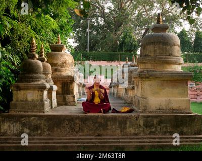 TIBETISCHE MÖNCHE SINGEN SCHRIFTEN IM MAHABODHI-TEMPELKOMPLEX, BODHGAYA, BIHAR, INDIEN, ASIEN Stockfoto