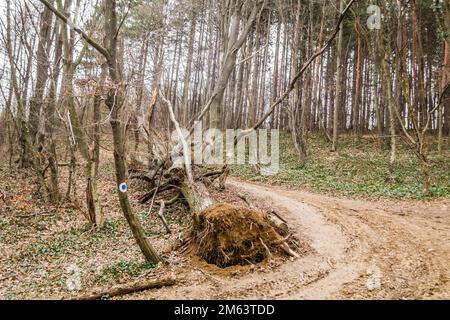 Blick auf den Laubwald des Nationalparks Fruska Gora in Vojvodina, Serbien, nicht weit von der Stadt Novi Sad. Stockfoto