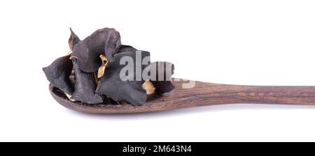 Trockener schwarzer Pilz im Holzlöffel, isoliert auf weißem Hintergrund. Chinesischer schwarzer Pilz oder Baum schwarzer Muer Pilz. Auricularia polytricha Stockfoto