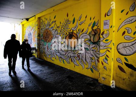 Wandbilder, Straßenkunst in Parma Italien Stockfoto