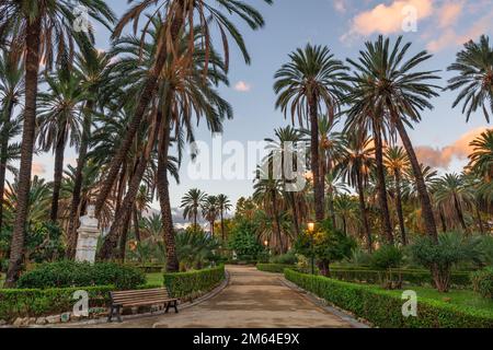 Palermo, Italien, in den öffentlichen Gärten der Villa Bonnano. Stockfoto