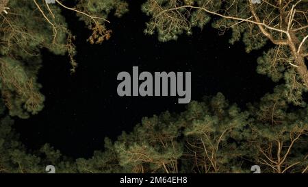 Der Sternenhimmel bei Nacht mit einem lebhaften Hintergrund funkelnder oder flackernder Sterne im Wald. Sternbilder im Winter-Nachthimmel sichtbar zwischen Stockfoto