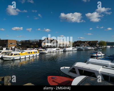 Die Norfolk Broads on the River Bure im beliebten Wroxham, das mit vielen bunten Booten beschäftigt ist, Wroxham, Norfolk, England, Großbritannien, Stockfoto