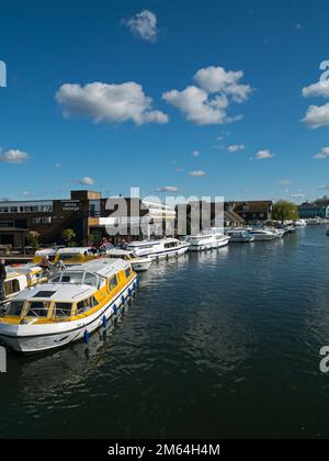 Die Norfolk Broads on the River Bure im beliebten Wroxham, das mit vielen bunten Booten beschäftigt ist, Wroxham, Norfolk, England, Großbritannien, Stockfoto