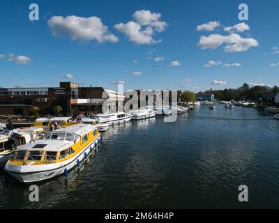 Die Norfolk Broads on the River Bure im beliebten Wroxham, das mit vielen bunten Booten beschäftigt ist, Wroxham, Norfolk, England, Großbritannien, Stockfoto