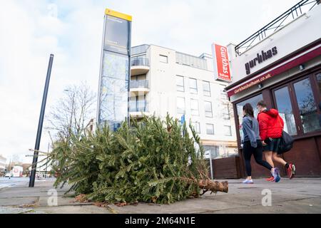 Die Leute gehen an einem Weihnachtsbaum vorbei, der auf dem Bürgersteig in Balham, Süd-London, weggeworfen wurde. Foto: Montag, 2. Januar 2023. Stockfoto