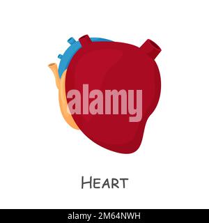 Das Herz des Menschen. Cartoon-Design. Isoliert . Vector . Stock Vektor