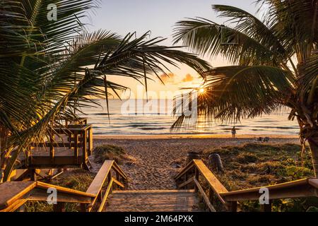 Die aufgehende Sonne scheint durch Palmen an einem Strand in Florida. Stockfoto