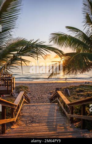 Die aufgehende Sonne scheint durch Palmen an einem Strand in Florida. Stockfoto