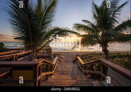 Die aufgehende Sonne scheint durch Palmen an einem Strand in Florida. Stockfoto