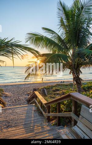 Die aufgehende Sonne scheint durch Palmen an einem Strand in Florida. Stockfoto