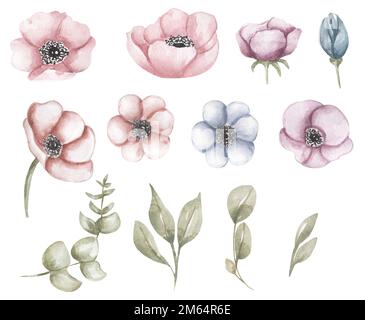 Aquarell rosa Blumen. Botanische Aquarell-Illustrationen, Blumenelemente, Anemonen-Blüten-Clipart mit Grün. Stockfoto
