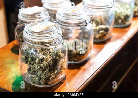 Verarbeitete Cannabisblume in einem Glas, bereit zum Rollen in die Zigarette am Straßenstand in Thailand Stockfoto