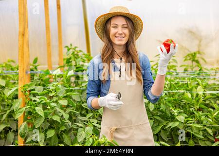 Zufriedene Landwirtschaftlerin, die die Paprika-Frucht zeigt Stockfoto