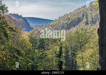 Ilsetal nahe Ilsenburg im Harz; Ilse bei Ilsenbur im Harzgebirge, Deutschland Stockfoto