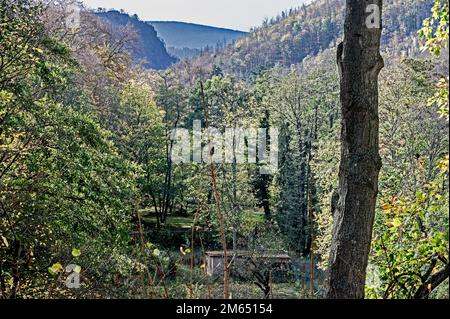 Ilsetal nahe Ilsenburg im Harz; Ilse bei Ilsenbur im Harzgebirge, Deutschland Stockfoto