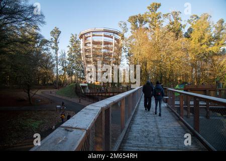 Wicklow, Irland - 2. 2023. Januar: Avondale Treetop Walk at Avondale House and Forest Park Stockfoto