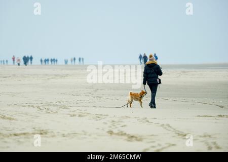 FRA, Frankreich, Le Touquet-Paris-Plage, 11.12.2022: Eine Frau mit Hund und Spaziergaenger in der Ferne am Horizont am Strand von Le Touquet-Paris-Pla Stockfoto