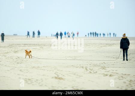 FRA, Frankreich, Le Touquet-Paris-Plage, 11.12.2022: Eine Frau mit Hund und Spaziergaenger in der Ferne am Horizont am Strand von Le Touquet-Paris-Pla Stockfoto