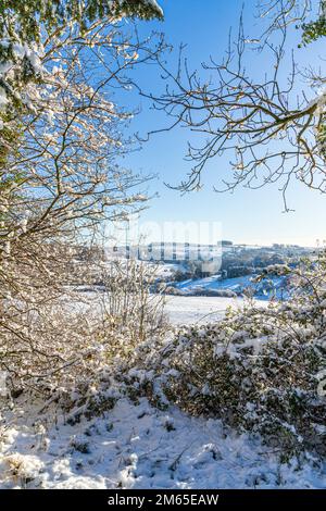 Die Quelle des Flusses Frome im frühen Winter auf den Cotswolds vom Friedhof in Brimpsfield, Gloucestershire, England, aus gesehen Stockfoto