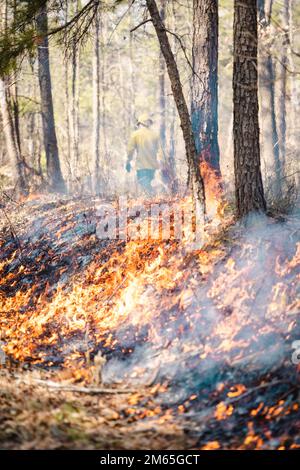 Quantico Fire & Emergency Services und Natural Resources Environmental Affairs (NREA) führen kontrollierte Verbrennungen an der Marine Corps Basis Quantico, Virginia, 4. April 2022 durch. Laut NREA besteht der Zweck der Verbrennung darin, die Menge an Brennstoff zu reduzieren, das Potenzial von Waldbränden zu minimieren und die Lebensräume der Wildtiere zu fördern. Bei Kraftstoffstreu handelt es sich um tote und ausgetretene Holzschutt, die als Brennstoff für Waldbrände oder andere potenzielle Gefahren verwendet werden könnten. Darüber hinaus kann überschüssiges Laub den natürlichen Nährstofffluss im Boden und im Ökosystem insgesamt stören. Die Verbrennungen werden das ganze Jahr über mehrmals durchgeführt Stockfoto