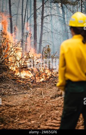 Die Brände beginnen schnell zu wachsen, da Quantico Fire & Emergency Services und Natural Resources Environmental Affairs (NREA) kontrollierte Brandwunden auf der Marine Corps Basis Quantico, Virginia, durchführen, 4. April 2022. Laut NREA besteht der Zweck der Verbrennung darin, die Menge an Brennstoff zu reduzieren, das Potenzial von Waldbränden zu minimieren und die Lebensräume der Wildtiere zu fördern. Bei Kraftstoffstreu handelt es sich um tote und ausgetretene Holzschutt, die als Brennstoff für Waldbrände oder andere potenzielle Gefahren verwendet werden könnten. Darüber hinaus kann überschüssiges Laub den natürlichen Nährstofffluss im Boden und im Ökosystem insgesamt stören. Die Verbrennungen werden mehrfach durchgeführt Stockfoto