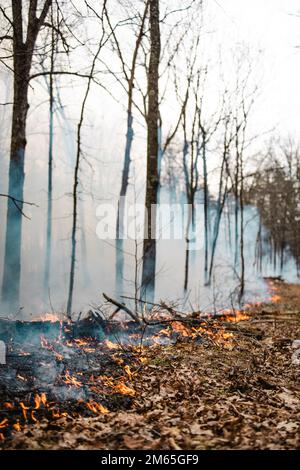 Quantico Fire & Emergency Services und Natural Resources Environmental Affairs (NREA) führen kontrollierte Verbrennungen an der Marine Corps Basis Quantico, Virginia, 4. April 2022 durch. Laut NREA besteht der Zweck der Verbrennung darin, die Menge an Brennstoff zu reduzieren, das Potenzial von Waldbränden zu minimieren und die Lebensräume der Wildtiere zu fördern. Bei Kraftstoffstreu handelt es sich um tote und ausgetretene Holzschutt, die als Brennstoff für Waldbrände oder andere potenzielle Gefahren verwendet werden könnten. Darüber hinaus kann überschüssiges Laub den natürlichen Nährstofffluss im Boden und im Ökosystem insgesamt stören. Die Verbrennungen werden das ganze Jahr über mehrmals durchgeführt Stockfoto