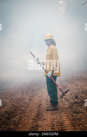 Quantico Fire & Emergency Services und Natural Resources Environmental Affairs (NREA) führen kontrollierte Verbrennungen an der Marine Corps Basis Quantico, Virginia, 4. April 2022 durch. Laut NREA besteht der Zweck der Verbrennung darin, die Menge an Brennstoff zu reduzieren, das Potenzial von Waldbränden zu minimieren und die Lebensräume der Wildtiere zu fördern. Bei Kraftstoffstreu handelt es sich um tote und ausgetretene Holzschutt, die als Brennstoff für Waldbrände oder andere potenzielle Gefahren verwendet werden könnten. Darüber hinaus kann überschüssiges Laub den natürlichen Nährstofffluss im Boden und im Ökosystem insgesamt stören. Die Verbrennungen werden im Laufe des Jahres t mehrmals durchgeführt Stockfoto