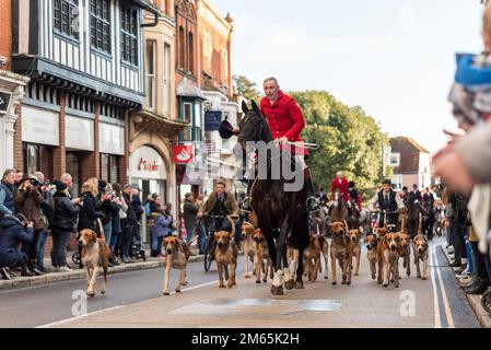 Die Essex with Farmers & Union Hunt führte ihre Pferde und Hunde auf der Maldon High Street zu ihrem jährlichen Sylvester-Treffen vor. Hunde und Reiter Stockfoto