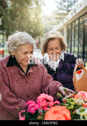 Zwei ältere Schwestern gießen die Blumen in ihrer Wohnung, während sie lächeln. Begriff von Alter und Glück. Stockfoto