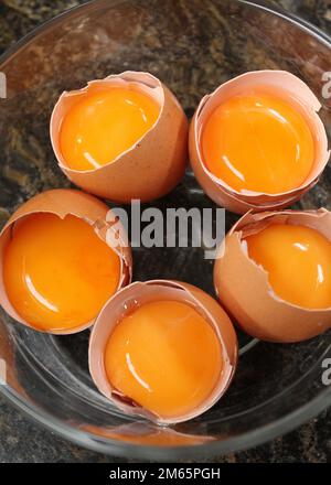 Eigelb ohne Weiß in den Eierschalen. Stockfoto