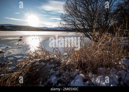 Loch Kinord am Muir of Dinnet National Nature Reserve Aberdeeshire Scotland Stockfoto