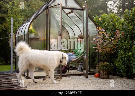 Frau spielt mit ihrem Hund im Garten Stockfoto