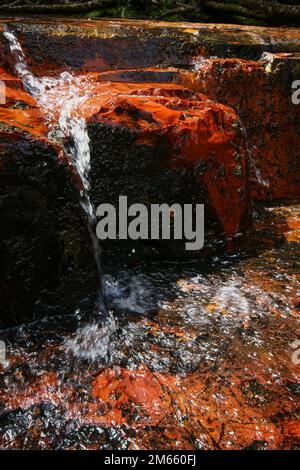 Wasser fließt über das rote Jasper-Flussbett in Quebrada de Jaspe, Jasper Creek, Gran Sabana, Venezuela Stockfoto