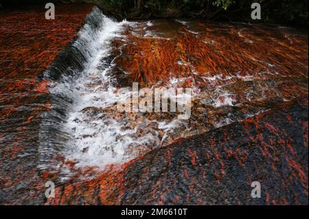 Wasserfall in Quebrada de Jaspe, Jasper Creek, Gran Sabana, Venezuela Stockfoto