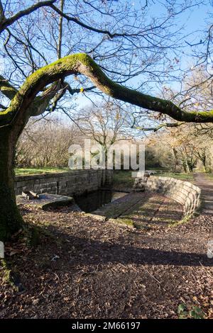 Großbritannien, England, Devonshire. Stover Canal Graving Dock Lock auf dem Templer Way nahe Teigngrace und Newton Abbot. Stockfoto