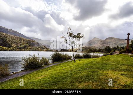 Baum in einem Sonnenlicht in der Nähe des Sees mit Bergen im Hintergrund Stockfoto