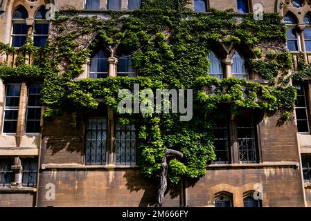 Meadow Building im venezianischen Stil des Christ Church College an der Oxford University in England. Stockfoto