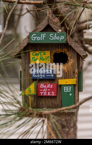 Golf-Vogelhaus Stockfoto