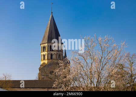 Benediktinerabtei Cluny, Departement Saone et Loire, Region Bourgogne, Frankreich Stockfoto