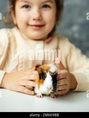 Vertikales Lächeln, positiv, verspielt, zufriedenes kleines Mädchen in der Hand, spielen mit dem kleinen Meerschweinchen, das auf dem weißen Tisch sitzt Stockfoto