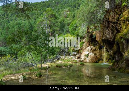 Die Quelle des Flusses Cuervo (Nacimiento del Rio Cuervo) in Cuenca, Castilla La Mancha, Spanien Stockfoto