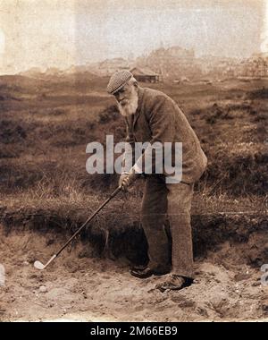 Der alte Tom Morris im Bunker Stockfoto