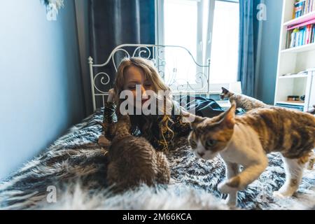 Zwei Devon-rex-Katzen, die auf dem Bett spielen. Eine Frau, die ihren Katzen beim Spielen zusieht. PET-Konzept. Mittlere Aufnahme. Hochwertiges Foto Stockfoto