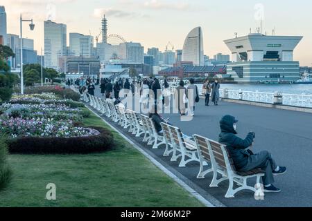Yokohama, Japan - 12.09.2022: Blick auf das Stadtzentrum von Yokohama vom Jachthafen-Pfad. Wahrzeichen-Turm und Intercontinental Hotel. Stockfoto