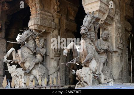 Säulen mit Reitern, die den Meenakshi Amman Tempel in Madurai, Tamil Nadu, Indien schmücken. Stockfoto